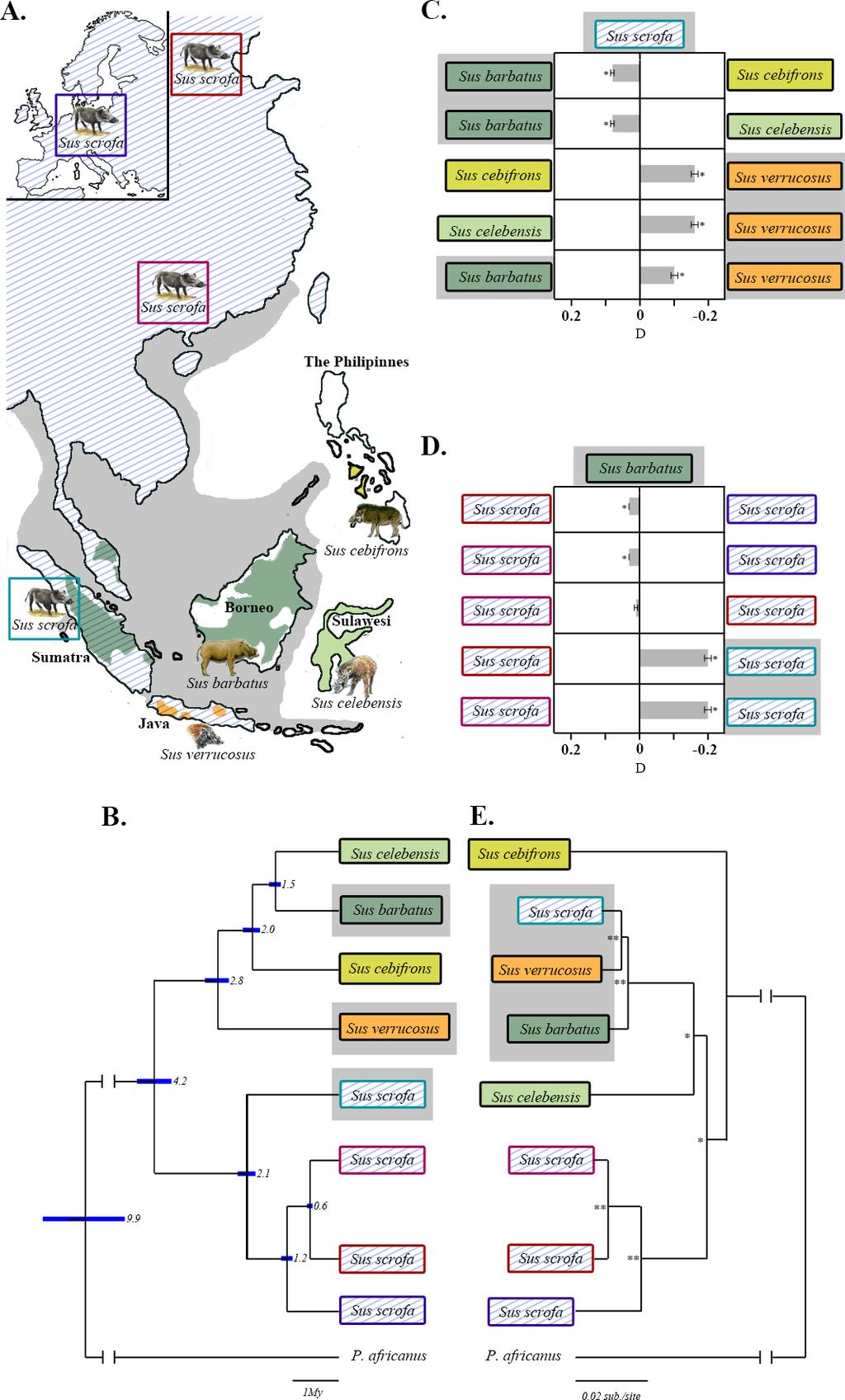Page 3 of 12 Figure 1 Geographic distribution, phylogenetic relationships and admixture between Sus lineages.