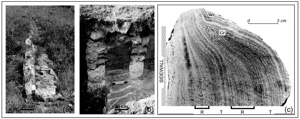 246 C. Bobée et al. Figure 2 (a) An outcrop at ground level of the carbonate deposits for Vallon de la Route (photograph by J.-L. Guendon).