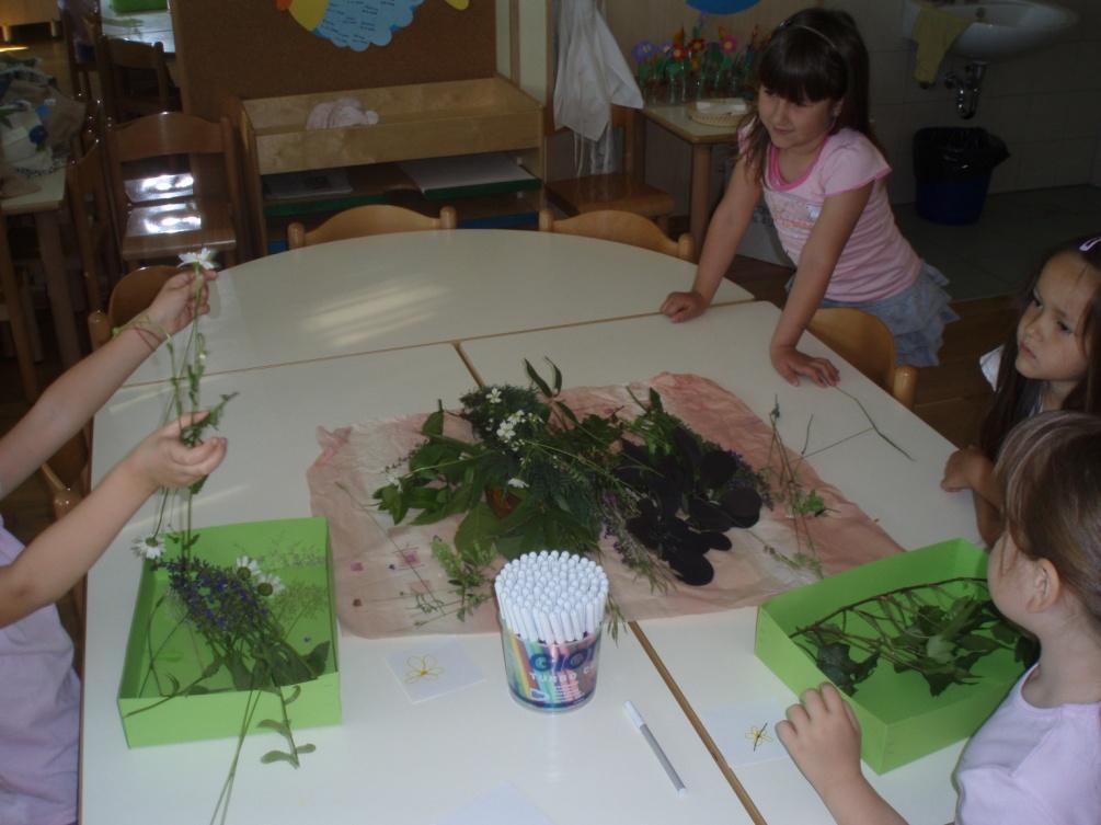 Slika 22: Razvrščanje rastlin v dve škatli Sprva so otroci potrebovali nekaj vodenja,