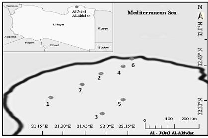 184 H.A.M., MOSALLAM et al. Fig. 1. Location map indicating the study area. TABLE 2.