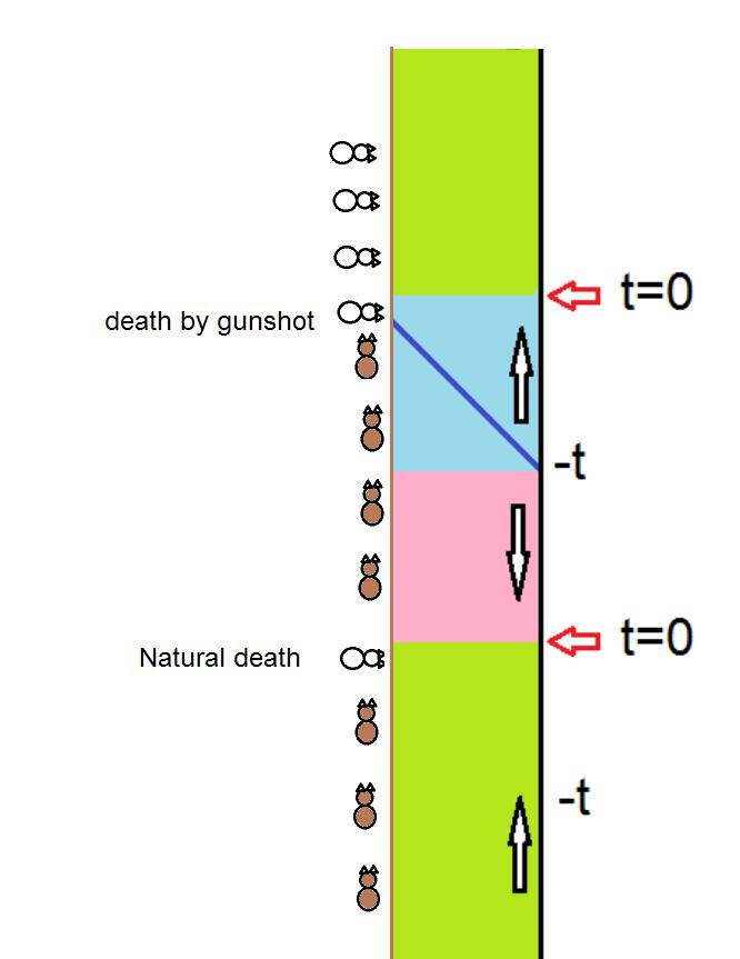 Figure 11: Strangebody s experiment. The brown vertical cats are alive and the horizontal white ones are dead. The blue line represents the bullet in the timefold region. t, but she didn t do it.