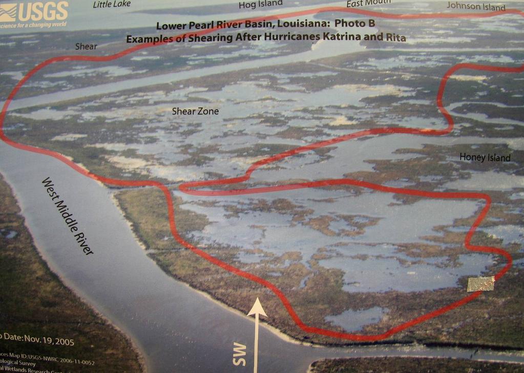 Acute wind shear from Hurricane Katrina stripped off large tracts of floating marsh