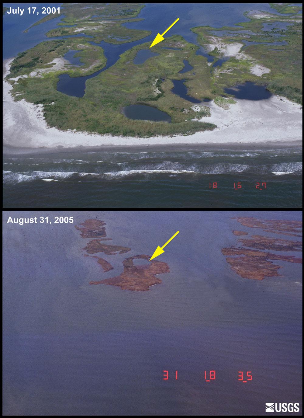 Dynamic Environment: Chandelier Islands; before and after Katrina Wave erosion stripped off sandy