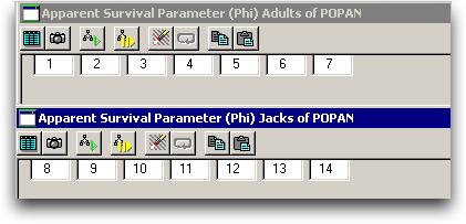 Now each parameter can vary over sampling occasions (intervals) and/or groups. The full model fit will be specified by a triplet of specifications.