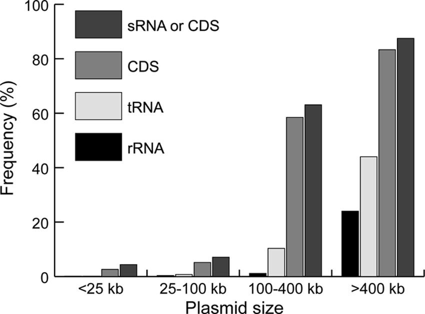 VOL. 74, 2010 MOBILITY OF PLASMIDS 447 FIG. 11. Presence of trna, rrna, or protein-encoding genes best homologous to E. coli or B.