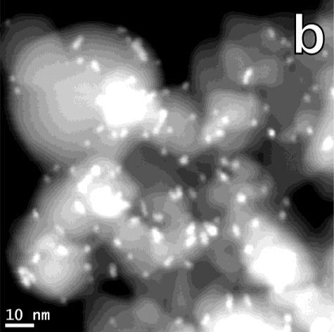 Pt nanoparticles have been photodeposited on TiO 2 surface using the same procedure illustrated in paragraph 3.2.4.