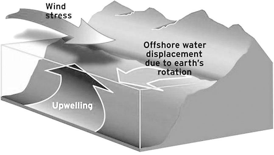 Credit: NOAA Upwelling can happen for several reasons. Some upwelling is caused by the makani, the wind. When wind consistently blows parallel to a coastline, it pushes water away from the coast.