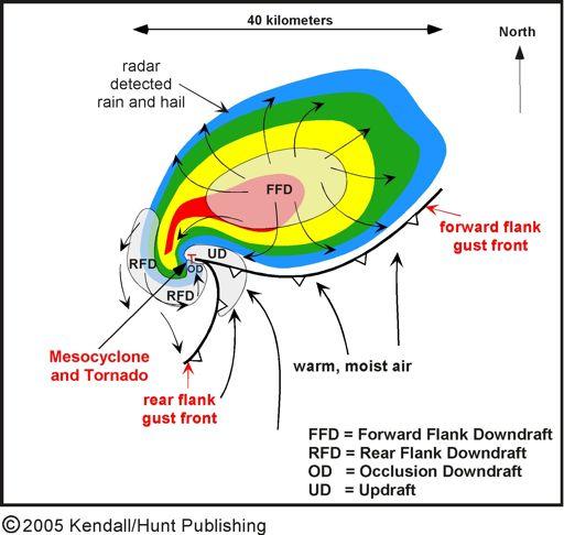 The mesocyclone and occlusion downdraft