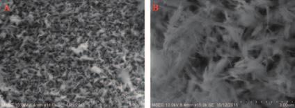 Kadarkaraithangam et al. Fabrication of Superhydrophobic Surfaces Using CuO Nanoneedles Fig. 2. Scanning electron microscope of copper oxide nanoneedles. 3.
