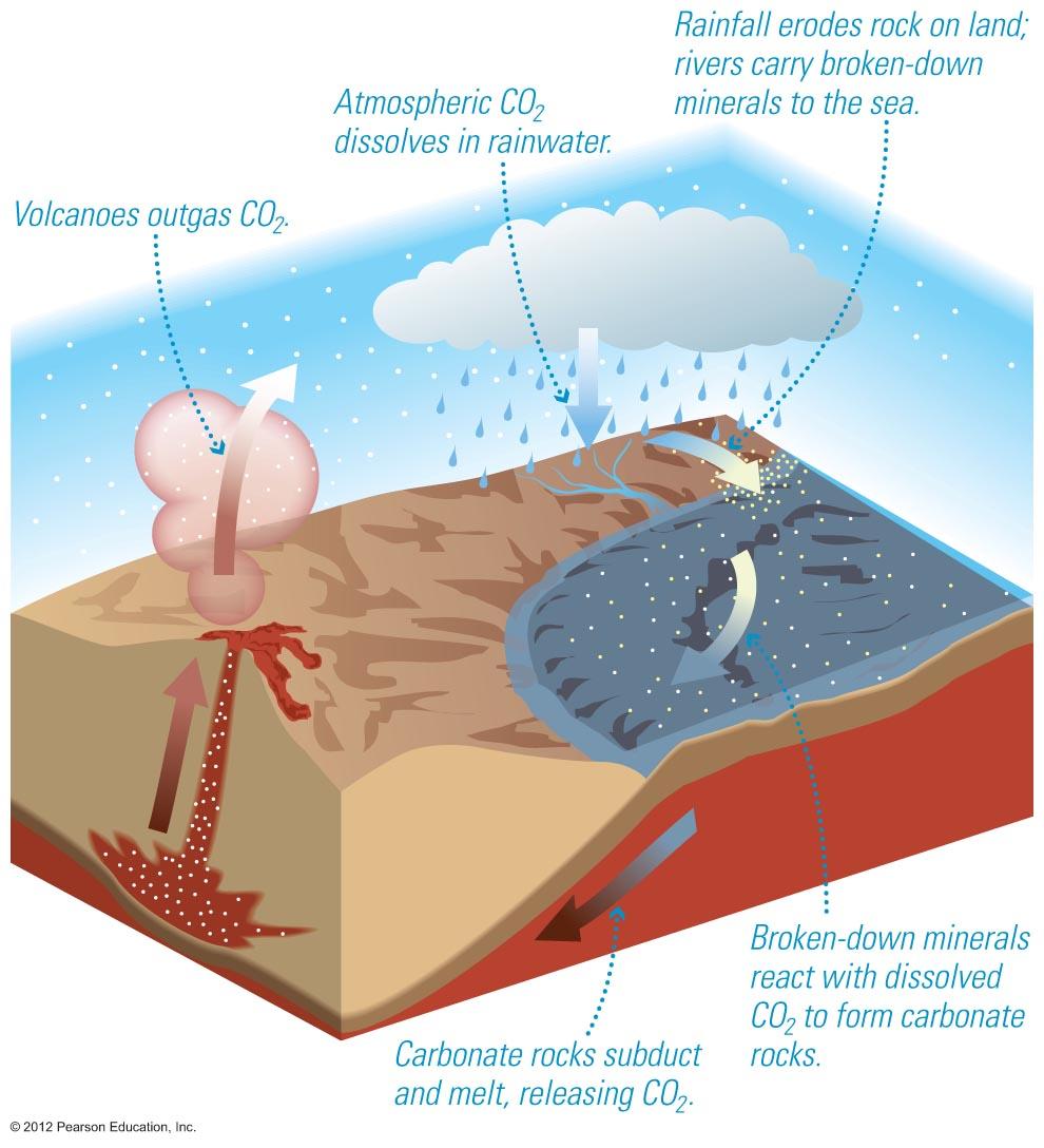 Atmospheric CO 2 dissolves in rainwater Acid rain erodes rocks, rivers carry the minerals to the oceans In the oceans, calcium combines with dissolved CO 2 and falls to the