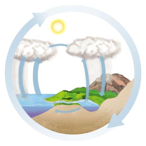 15 Abiotic reservoir Water moves through the biosphere in a global cycle Solar heat Drives the global water cycle of precipitation, evaporation, and