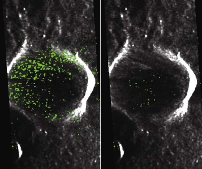Figure 9. Regions of volume scattering (in green) overlaid on S 0 images of Whipple crater region using (a) existing method (regions of CPR > 1) and (b) the algorithm developed.
