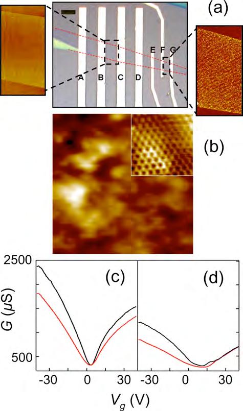 Figure 2. (a). Optical image of a single-layer graphene sheet device.