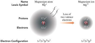 Positive Ions: Loss of Electrons Magnesium, a metal in Group 2A (2), obtains a stable electron configuration by losing two valence electrons, forming an ion with a 2+ charge.