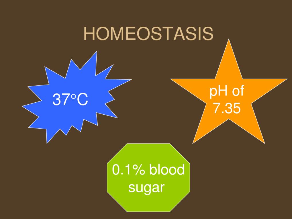Biological Themes: Homeostasis Homeostasis is a physiological condition of steady-state The internal environment of organisms is