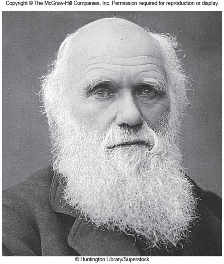 The Theory of Evolution Charles Darwin attributed evolution to natural selection Organisms best able to respond to the challenges of living will leave more offspring,
