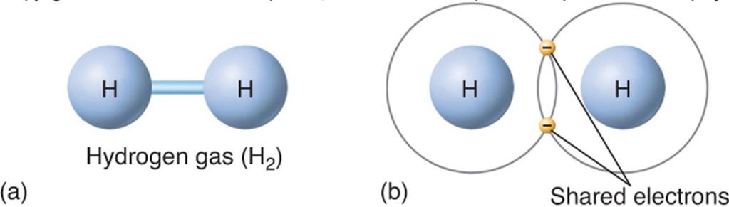Molecules Covalent bonds Covalent bonds form between two atoms when they share electrons The number of electrons shared varies depending