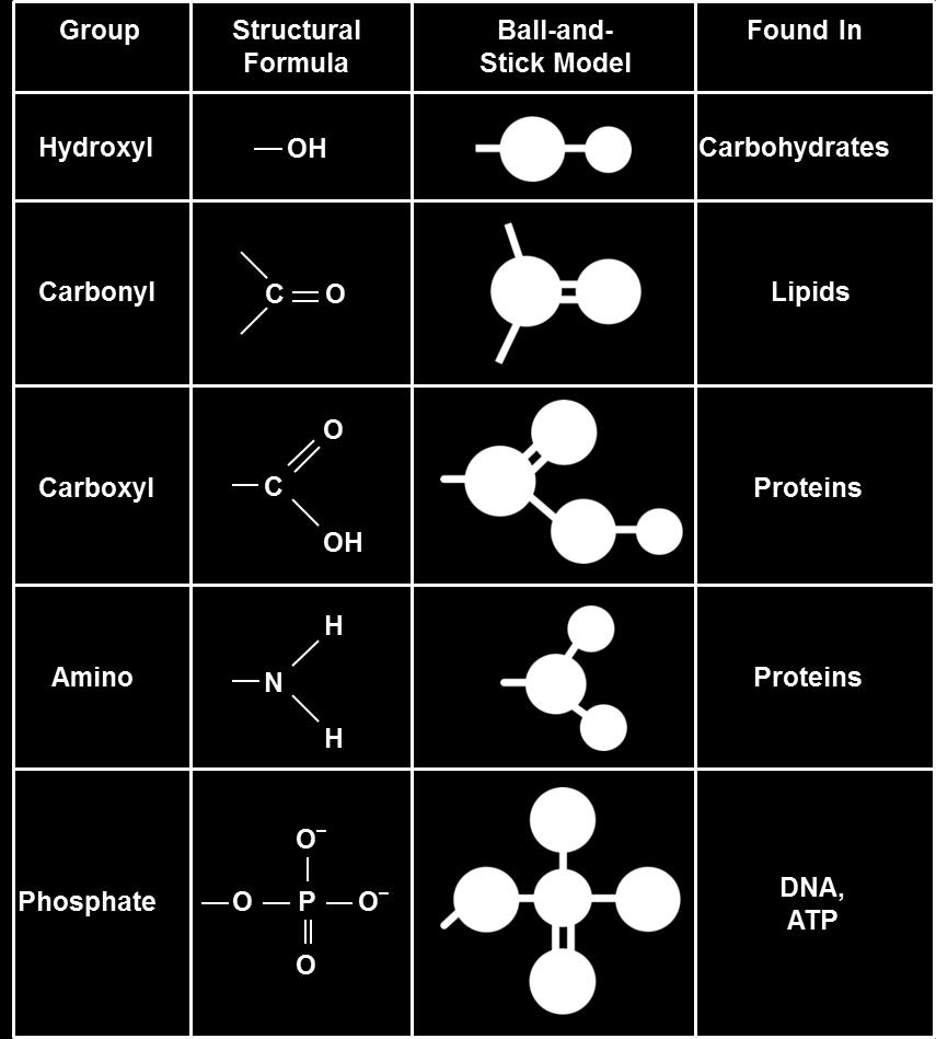 called functional groups The functional groups
