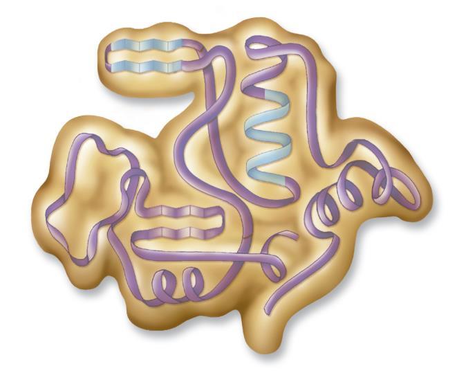 Protein structure: Tertiary Tertiary structure the final 3-D shape of the protein The final twists and folds that lead to this shape are the result of polarity differences in regions