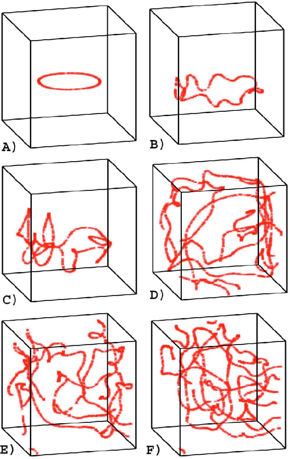 EXPANDING SCROLL RINGS AND NEGATIVE TENSION PHYSICAL REVIEW E 70, 056201 (2004) FIG. 6. Evolution of the filament. The data is taken from the same simulation and at the same time moments as in Fig. 5.
