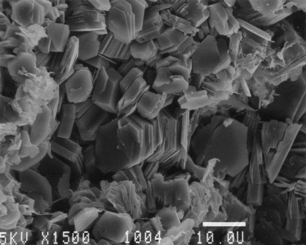 Scanning Electron Microscope Photo of Kaolinite Describe the properties that allow you to differentiate between kaolinite,