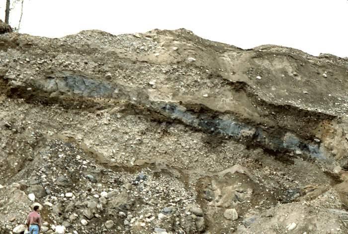 Till (gray layer seen in Figure 6) was interstratified with coarse ice-contact gravel near the head (northwest margin) of the. The till probably slumped off the glacier.