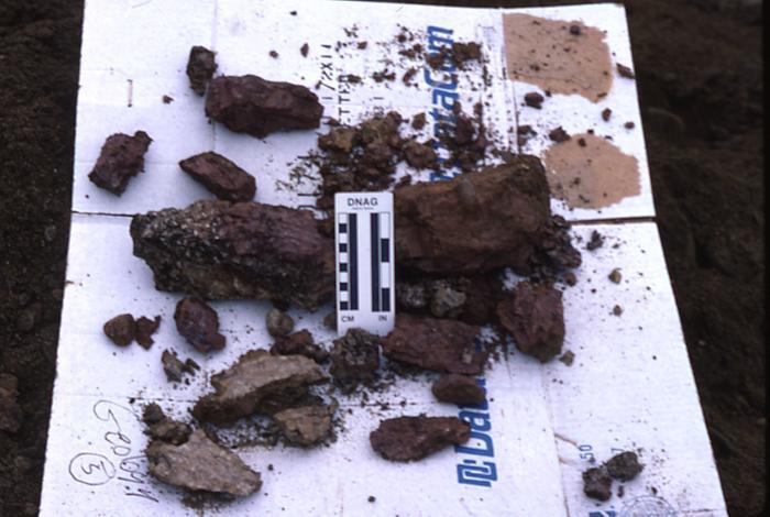 In 1988, an equipment operator at the Crooker Pit called attention to chunks of mottled reddish-brown and tan clay which had been found in the topset gravel beds
