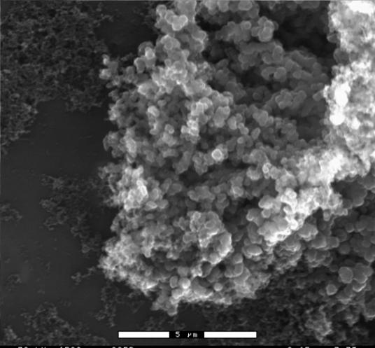 Nanomaterials Used xgnp CNT CB