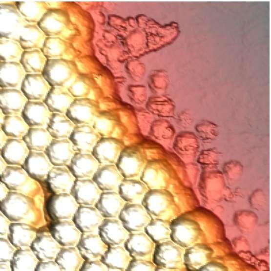 hetero-nanocrystals Sharp (both