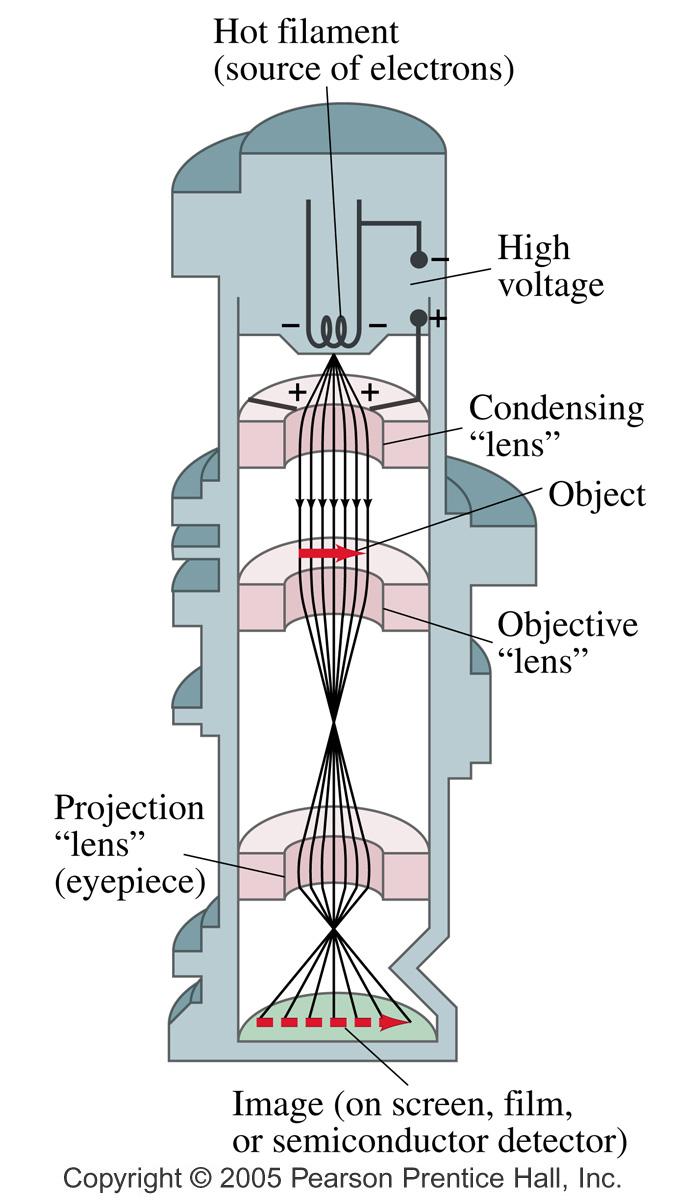 27.9 Electron Microscopes According to de Broglie, all the properties of optics should apply to particles! If we use the appropriate de Broglie wavelength!