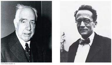 Niels Bohr (left) and Erwin Schrödinger (right), along with Albert Einstein, played a role in the development of quantum mechanics, yet they were bewildered by their own theory of