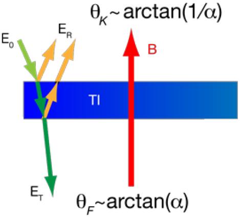 Alternative optical probes: Rotation of polarization from reflected wave (Kerr effect) and transmitted wave (Faraday effect) for a TI thin film W.K. Tse and A.H.