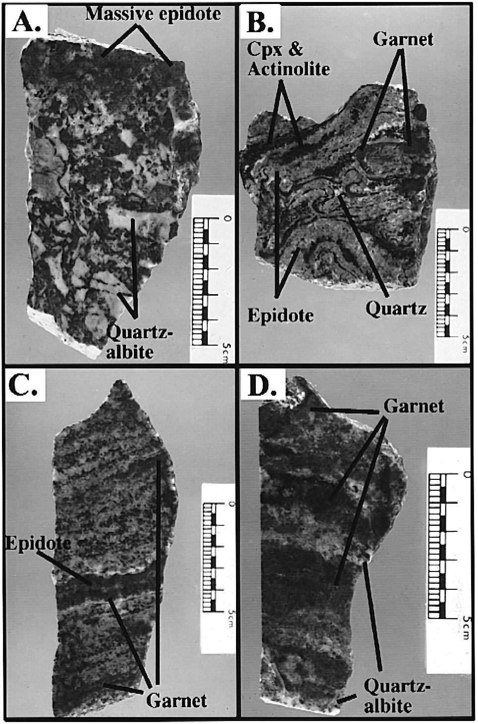 42 ( ) A.J.R. Kent et al.rlithos 54 2000 33 62 Fig. 6. Handspecimen photos of samples from garnet epidote alteration zones. Ž A. Brecciated and altered calc-silicate from Boolcoomatta Ž sample BC-8.
