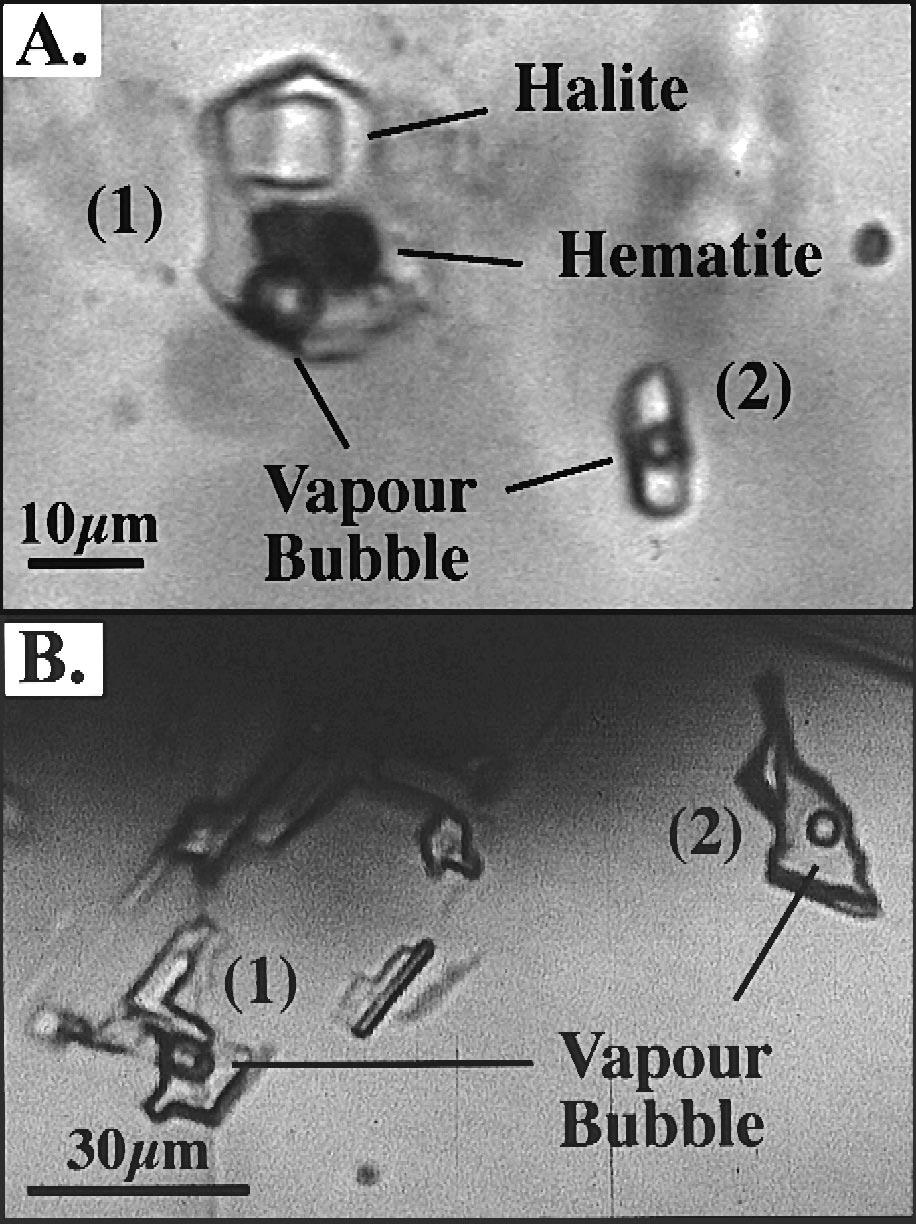 ( ) A.J.R. Kent et al.rlithos 54 2000 33 62 51 presence of these elements in the metasomatic fluid would assist in complexing and transporting many metals. 4.5. Fluid inclusions Fluid inclusions are abundant in minerals from metasomatic garnet epidote alteration zones.