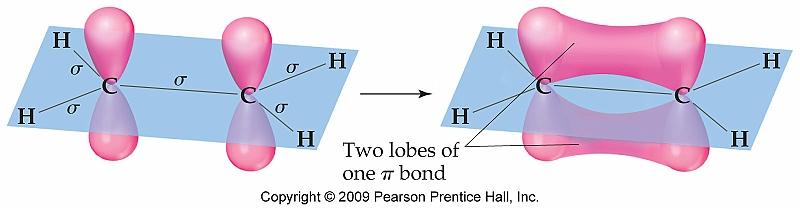 Hybridization 15 A Double Bond - sp 2 Hybridization of Carbon (Trigonal Planar Electron Domain Geometry, H 2 C=CH 2 ) One p