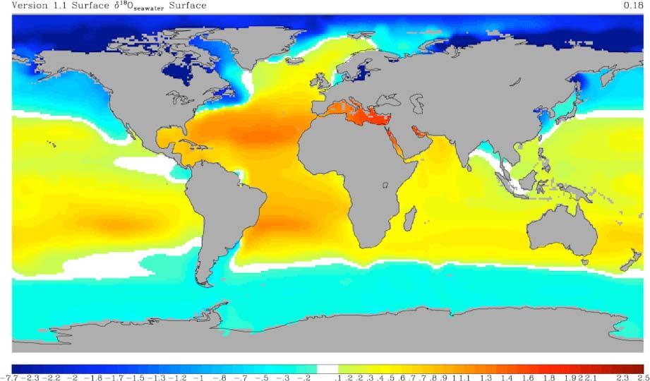 Gridded Surface Seawater δ 18 O Note the higher δ 18 O sw in the evaporation belts and the lower δ 18 O sw in the high latitudes, which are dominated by excess precipitation.