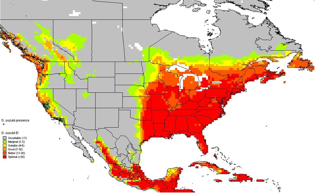 Maps from Climex modelling: The Climex model doesn t match climate per se, what it does is model the organism s response to climate.