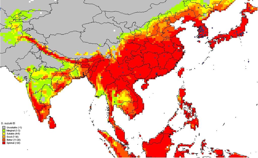 This is the Climex EcoIndex map for Asia. Note that most, but not all, of the Chinese data points are simply the major cities in those provinces in which this fly has been reported.