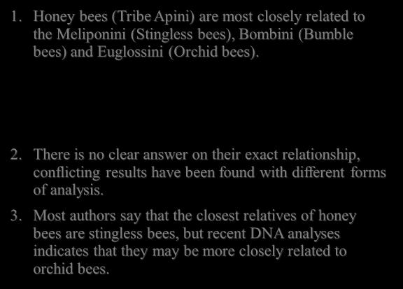 (flowering plants). Honey Bee Taxonomy 1.