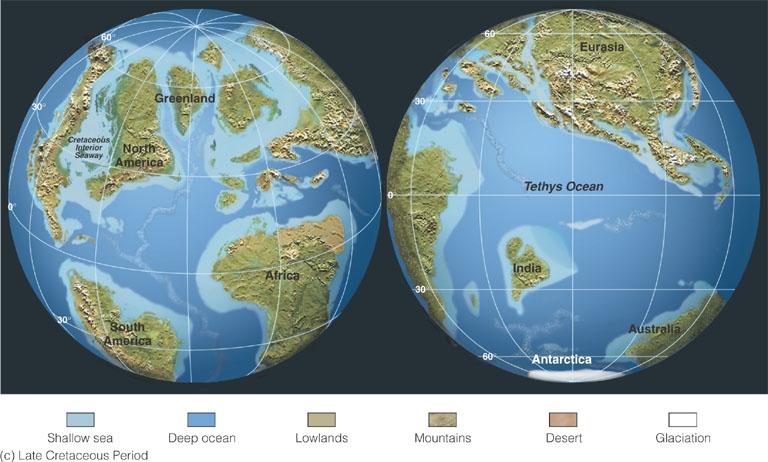 Paleogeography of the World
