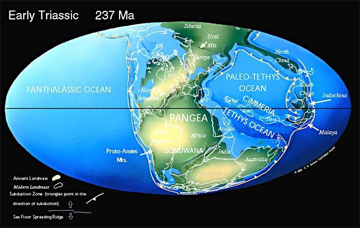 At the end of the Triassic, Pangea began to rift apart.