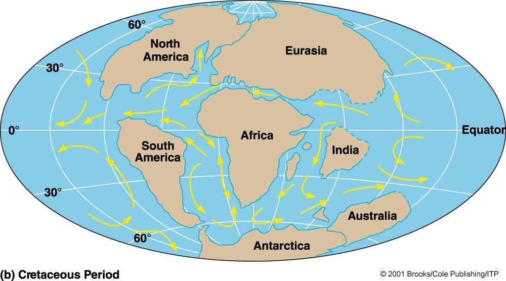 Oceanic Circulation Evolved to a more complex