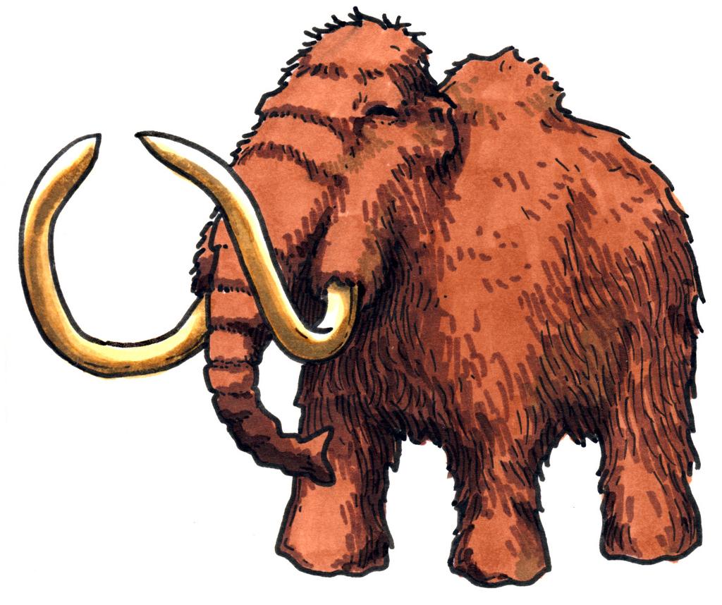 Prep Activity 1 Criteria and Constraints Woolly Mammoth Melt Your goal is to design an insulated transportation tank that will protect the woolly mammoth from melting for the 5 minutes it is in the