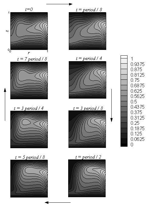 Fig. 13. Eight equally distanced snapshots of isotherms of supercritical oscillatory state during one period of oscillations.