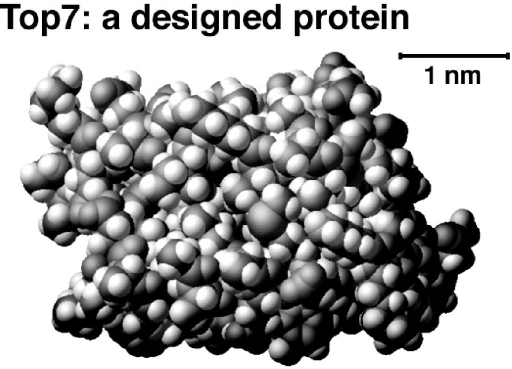 Eric Drexler Toward Integrated Nanosystems: Fundamental Issues in Design and Modeling determined by the sequence of amino acids that joined to form them; these amino acids are typically selected from