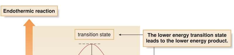 The ammond Postulate In an endothermic reaction, the transition state resembles the products more than the reactants, so anything