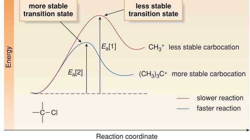 According to the ammond postulate, the stability of the carbocation determines the rate