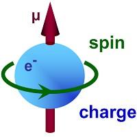 qv µ = I A = π r = π r T πr = q m mvr = q m L In quantum mechanics, for electron: