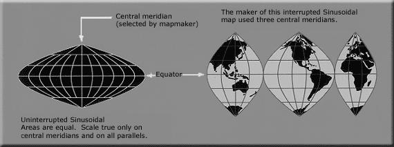 Sinusoidal Equal Area Projection (pseudo-cylindrical)