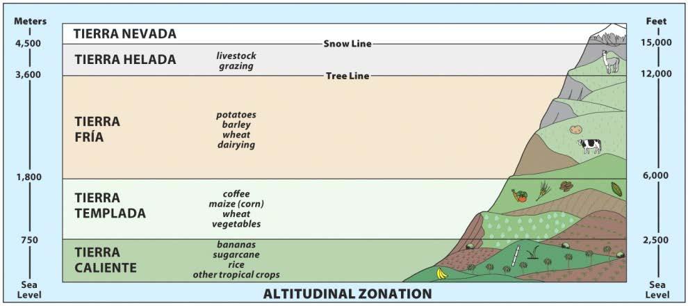 altitudinal zonation? 2.